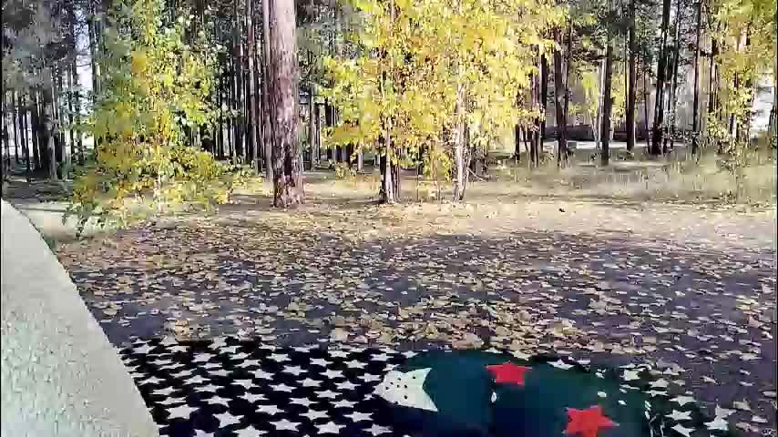 siberiataiga Cam Model Chat December 16, 2025