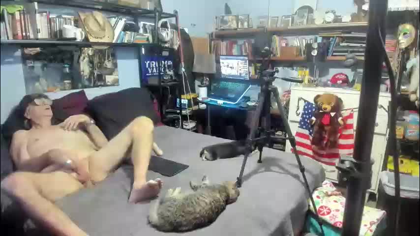 pink_black Cam Model Chat December 16, 2025