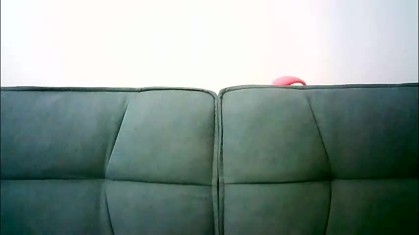 amelia___luna7 Cam Model Chat December 16, 2025