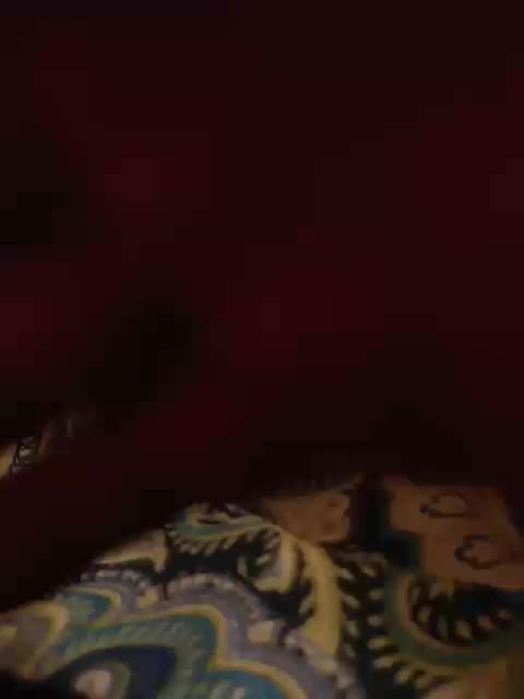 Nepechalka Cam Model Chat December 17, 2025