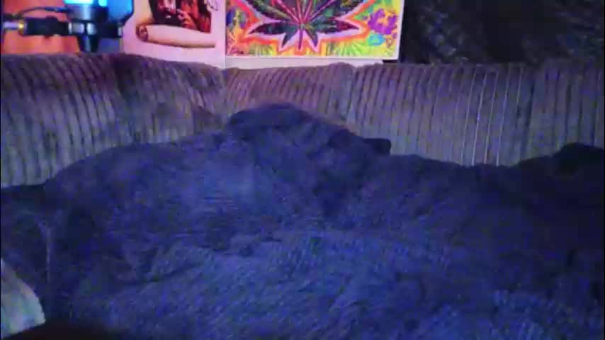 frankoafterdark Cam Model Chat December 17, 2025