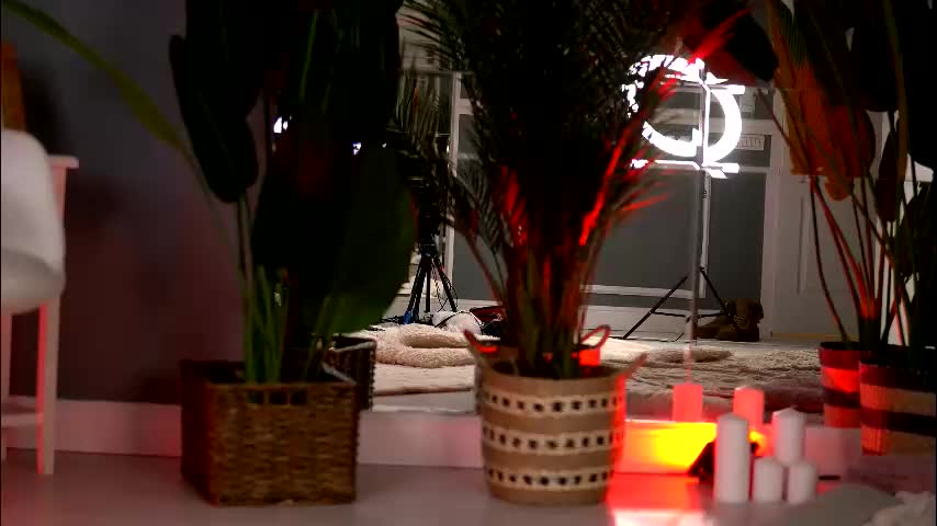 kellymathews Cam Model Chat December 17, 2025