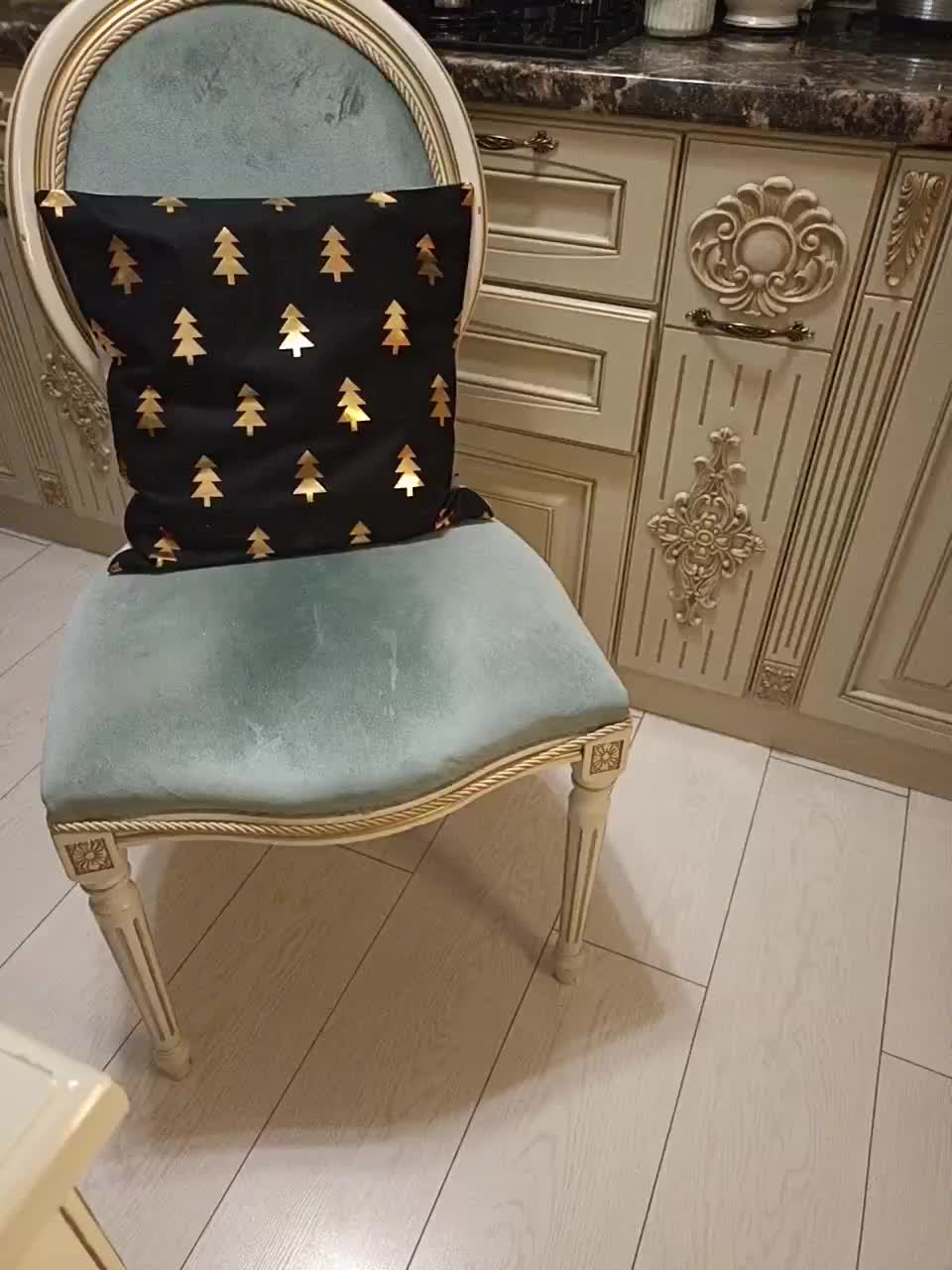 GSNAMI Cam Model Chat December 17, 2025