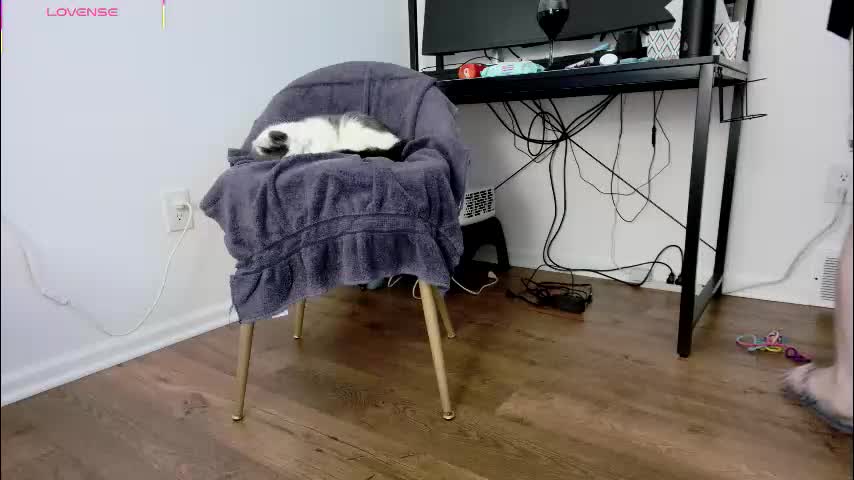 jjjust4fun1985 Cam Model Chat December 18, 2025