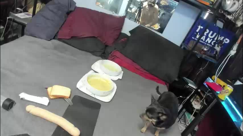 pink_black Cam Model Chat December 18, 2025