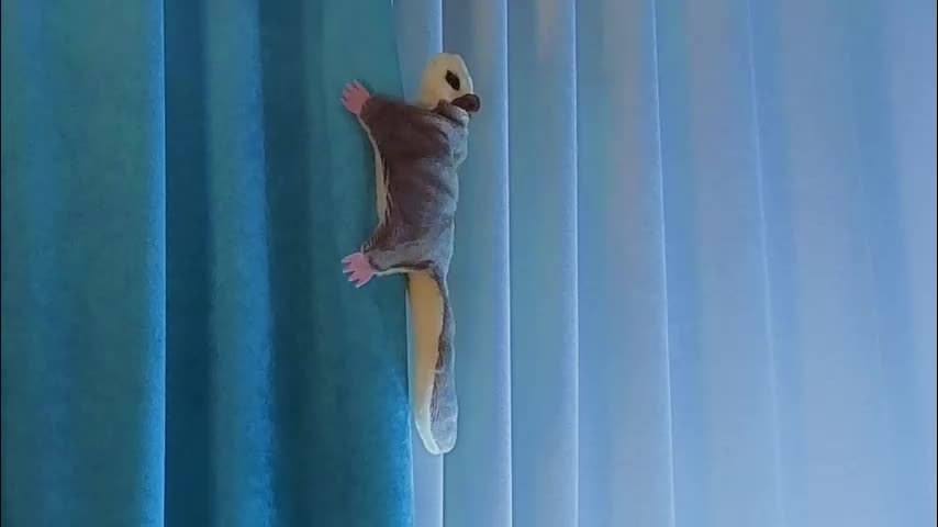 jolyndeb Cam Model Chat December 20, 2025