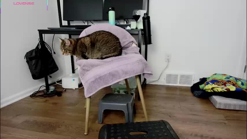 jjjust4fun1985 Cam Model Chat December 20, 2025