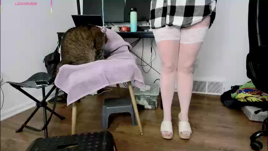 jjjust4fun1985 Cam Model Chat December 20, 2025