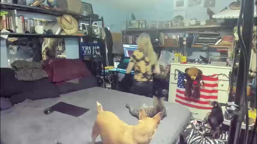 pink_black Cam Model Chat December 20, 2025