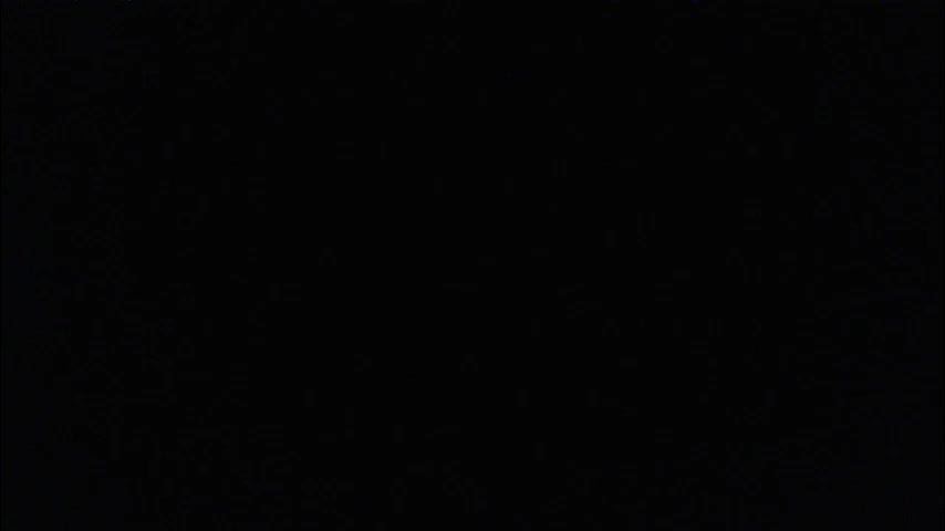 shyredstar Cam Model Chat December 20, 2025