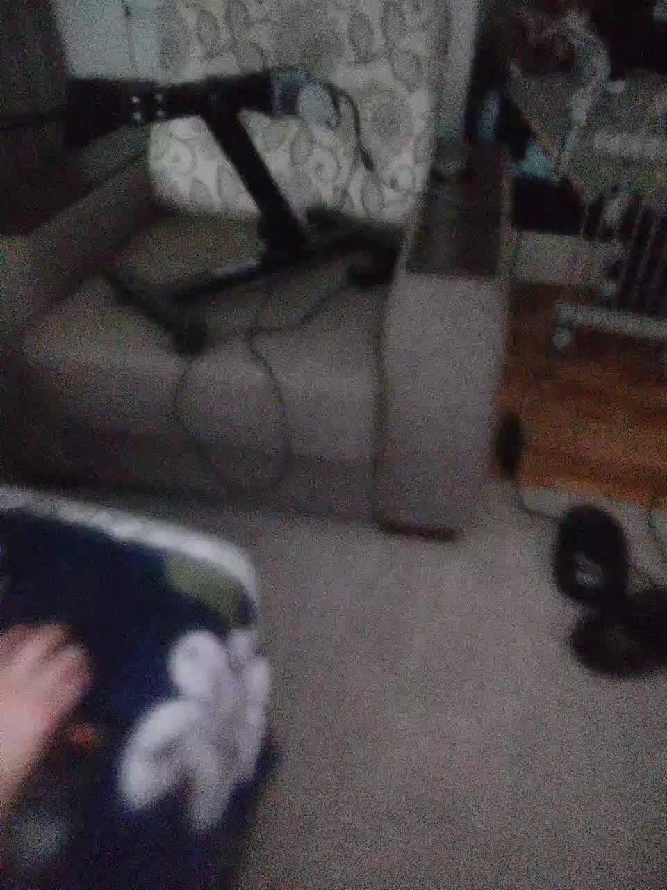 Oleg_lily Cam Model Chat December 20, 2025