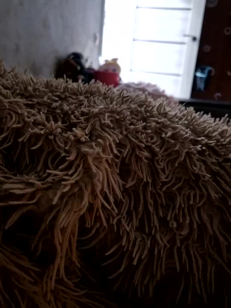 Para222a Cam Model Chat December 21, 2025