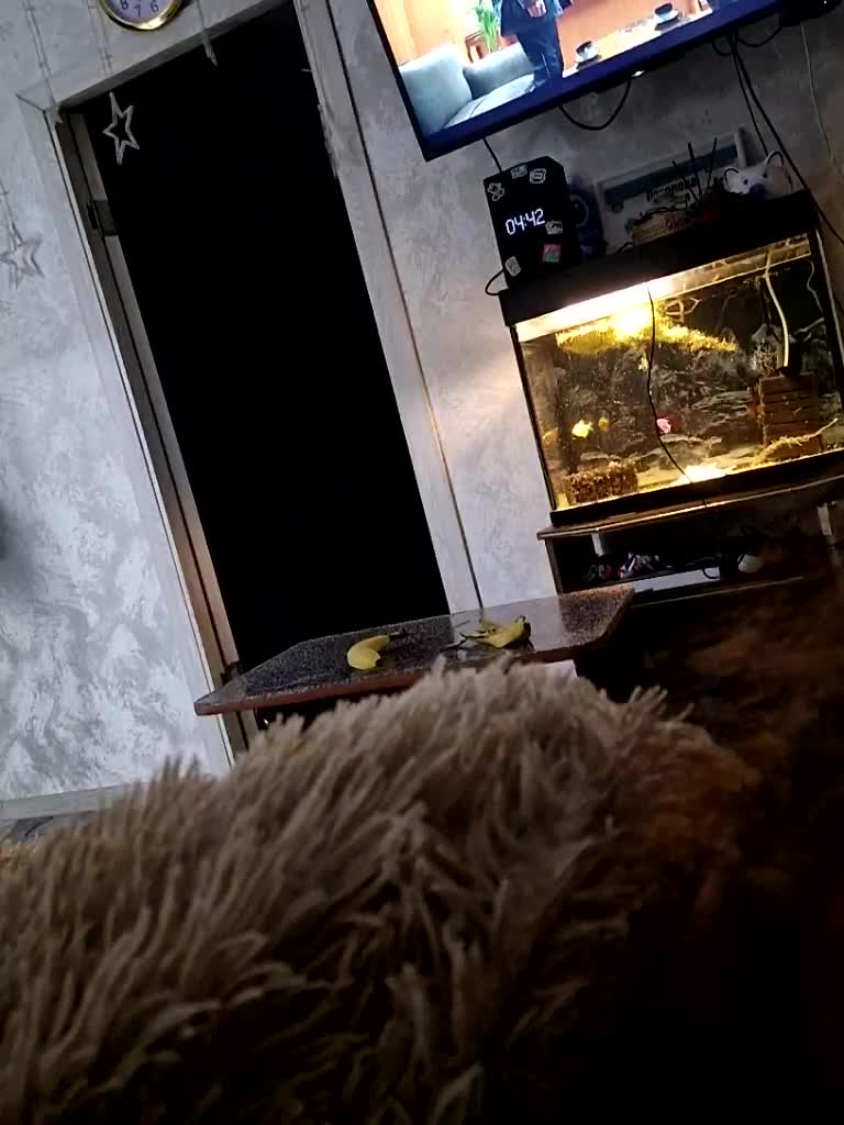 Para222a Cam Model Chat December 21, 2025