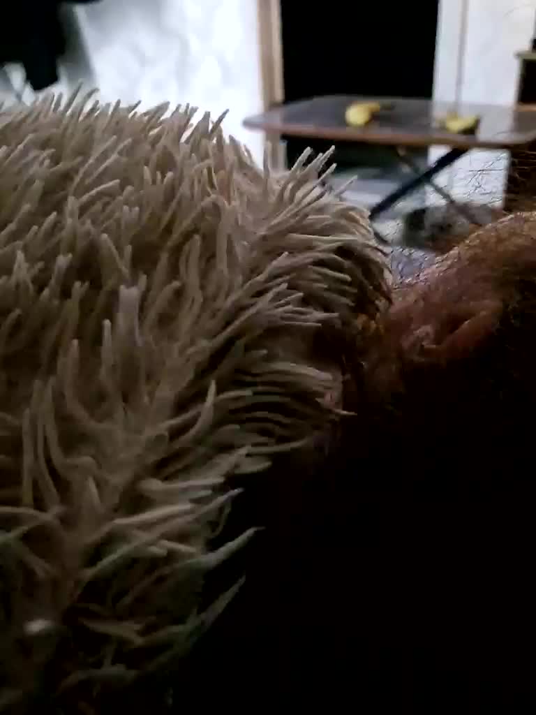 Para222a Cam Model Chat December 21, 2025