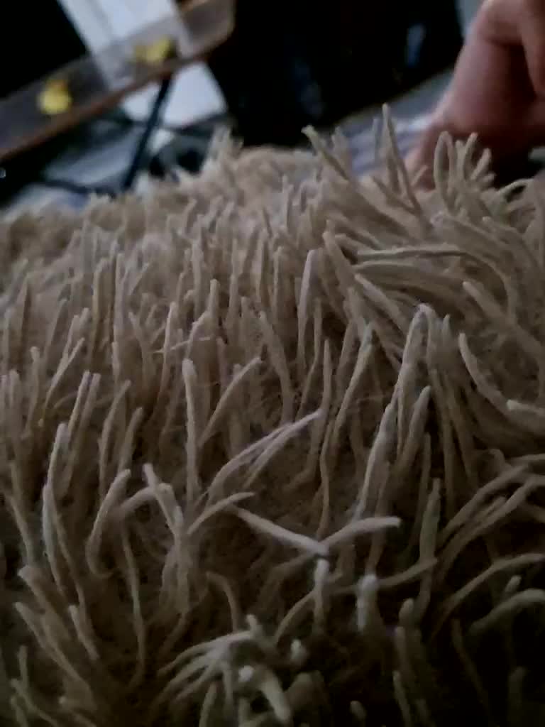 Para222a Cam Model Chat December 21, 2025