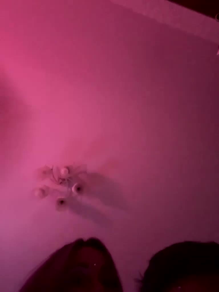 VIP17CoupleDream Cam Model Chat December 22, 2025