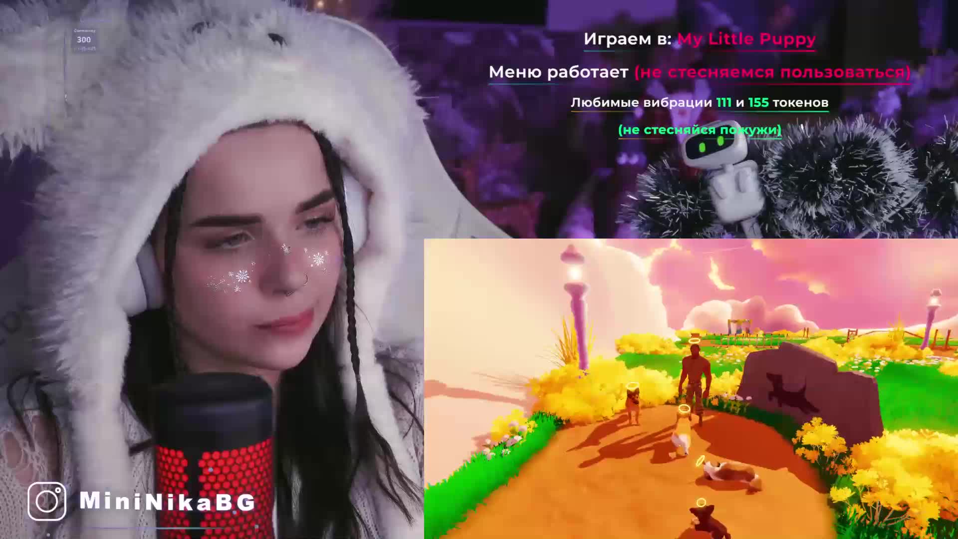 MiniNika Cam Model Chat December 22, 2025