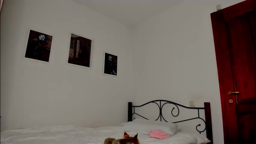 patricia_bloom Cam Model Chat December 22, 2025