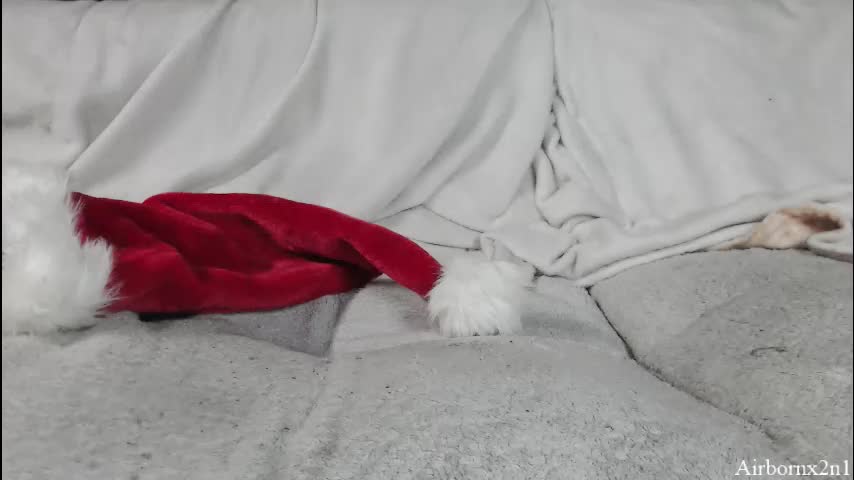 airbornx2n1 Cam Model Chat December 22, 2025