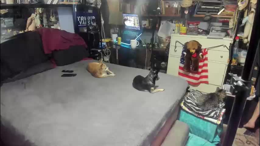 pink_black Cam Model Chat December 22, 2025