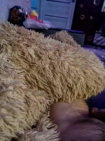 Para222a Cam Model Chat December 23, 2025