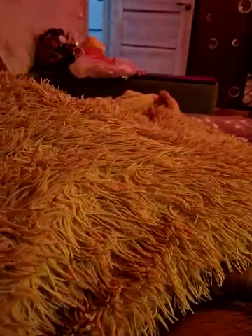 Para222a Cam Model Chat December 23, 2025