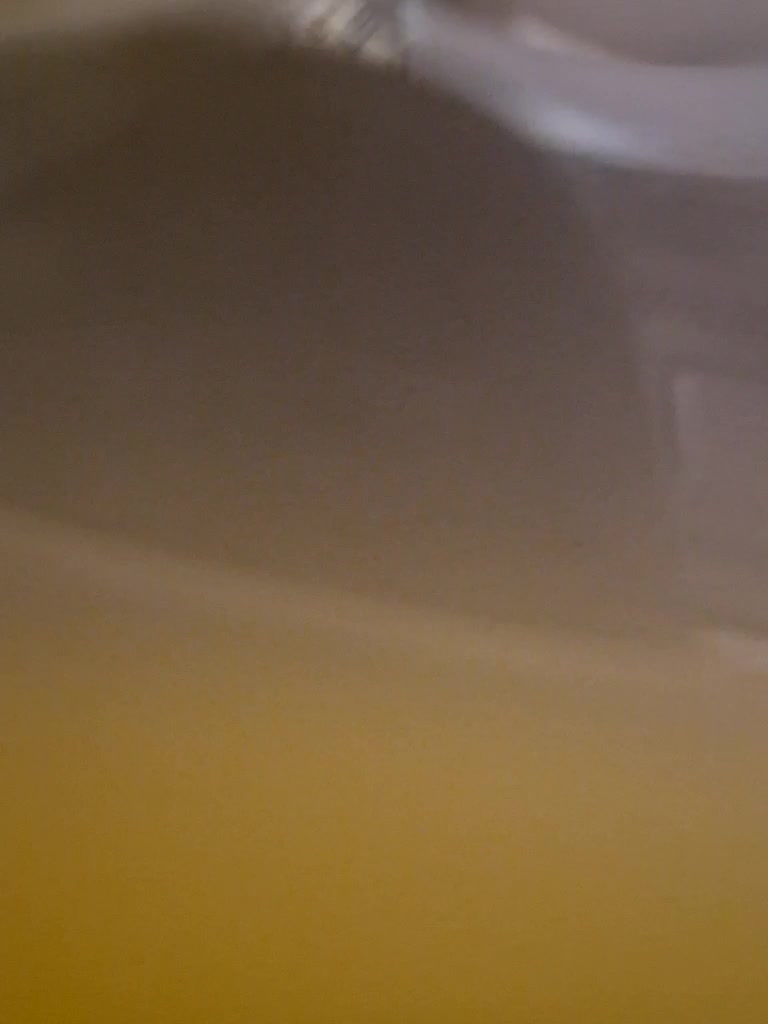 Para222a Cam Model Chat December 23, 2025