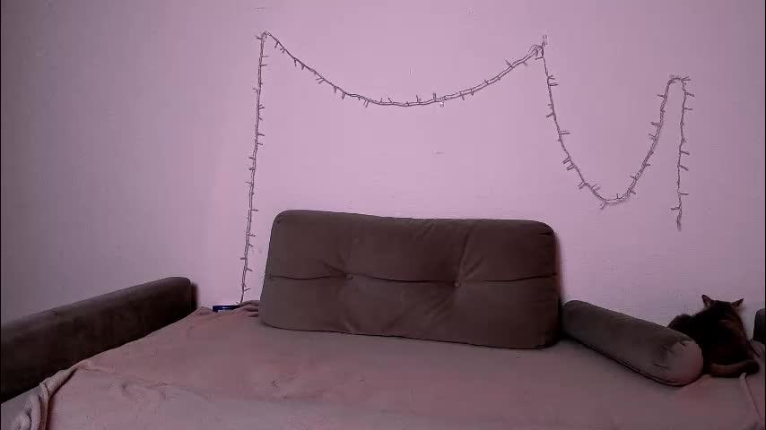 ladytrep Cam Model Chat December 24, 2025