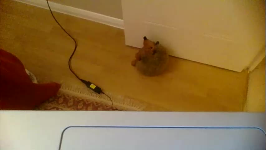 annecharlie Cam Model Chat December 24, 2025