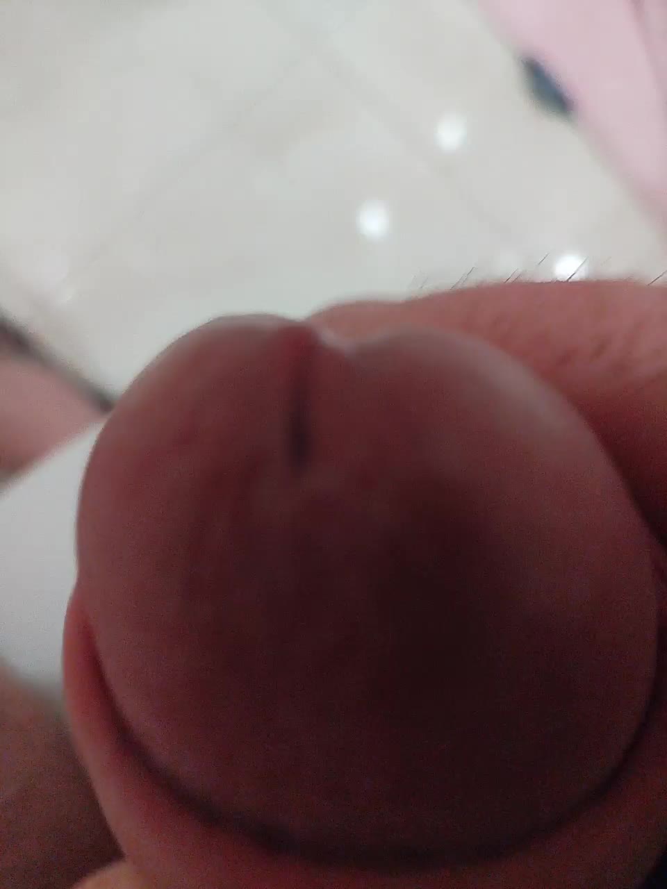 Paradise_1 Cam Model Chat December 25, 2025