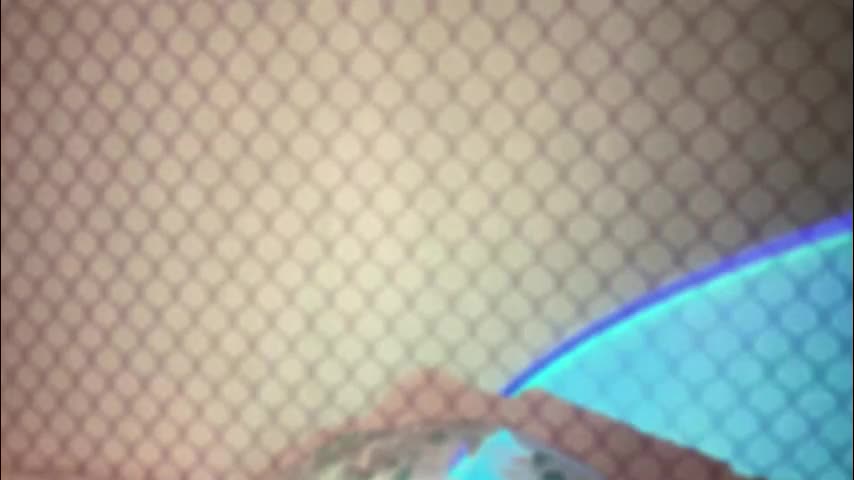 darlingdarinka Cam Model Chat December 28, 2025