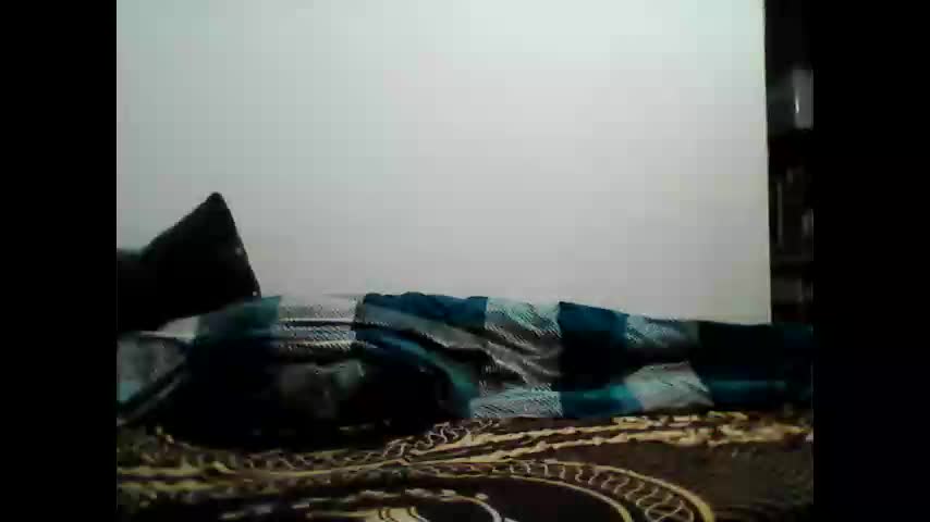 animus987 Cam Model Chat December 28, 2025