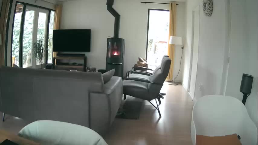 woodwurm Cam Model Chat December 28, 2025