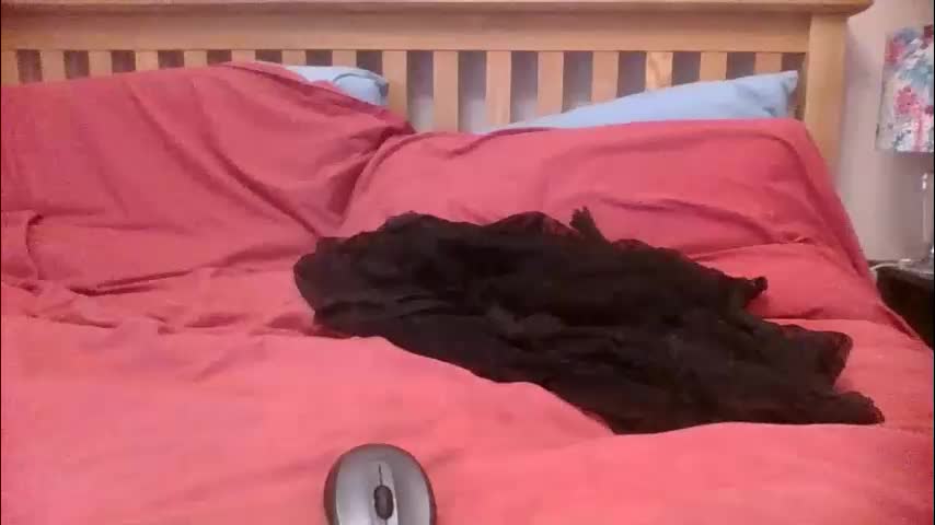 annecharlie Cam Model Chat December 28, 2025