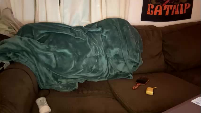 jackievilleof Cam Model Chat December 28, 2025