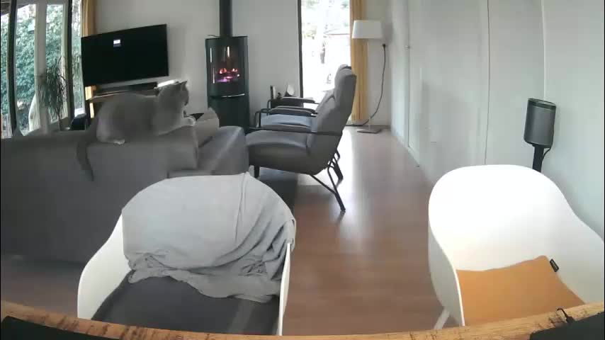 woodwurm Cam Model Chat December 28, 2025