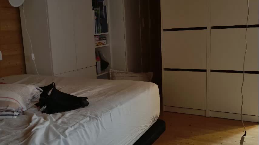 wild41 Cam Model Chat December 29, 2025