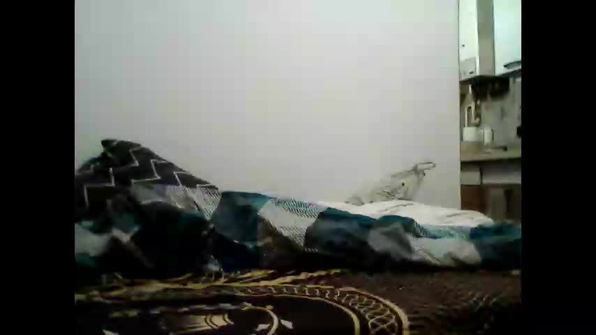 animus987 Cam Model Chat December 29, 2025