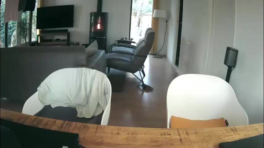 woodwurm Cam Model Chat December 29, 2025