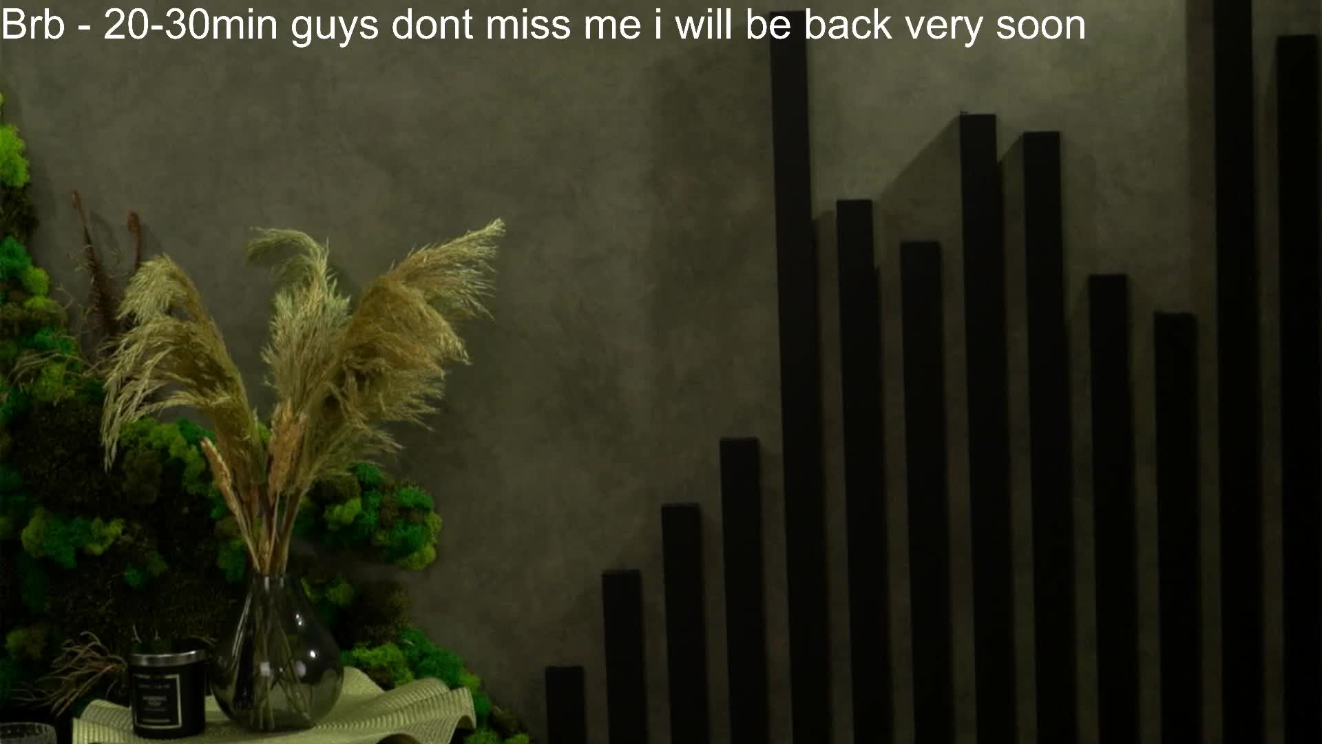 amberpaws Cam Model Chat December 29, 2025