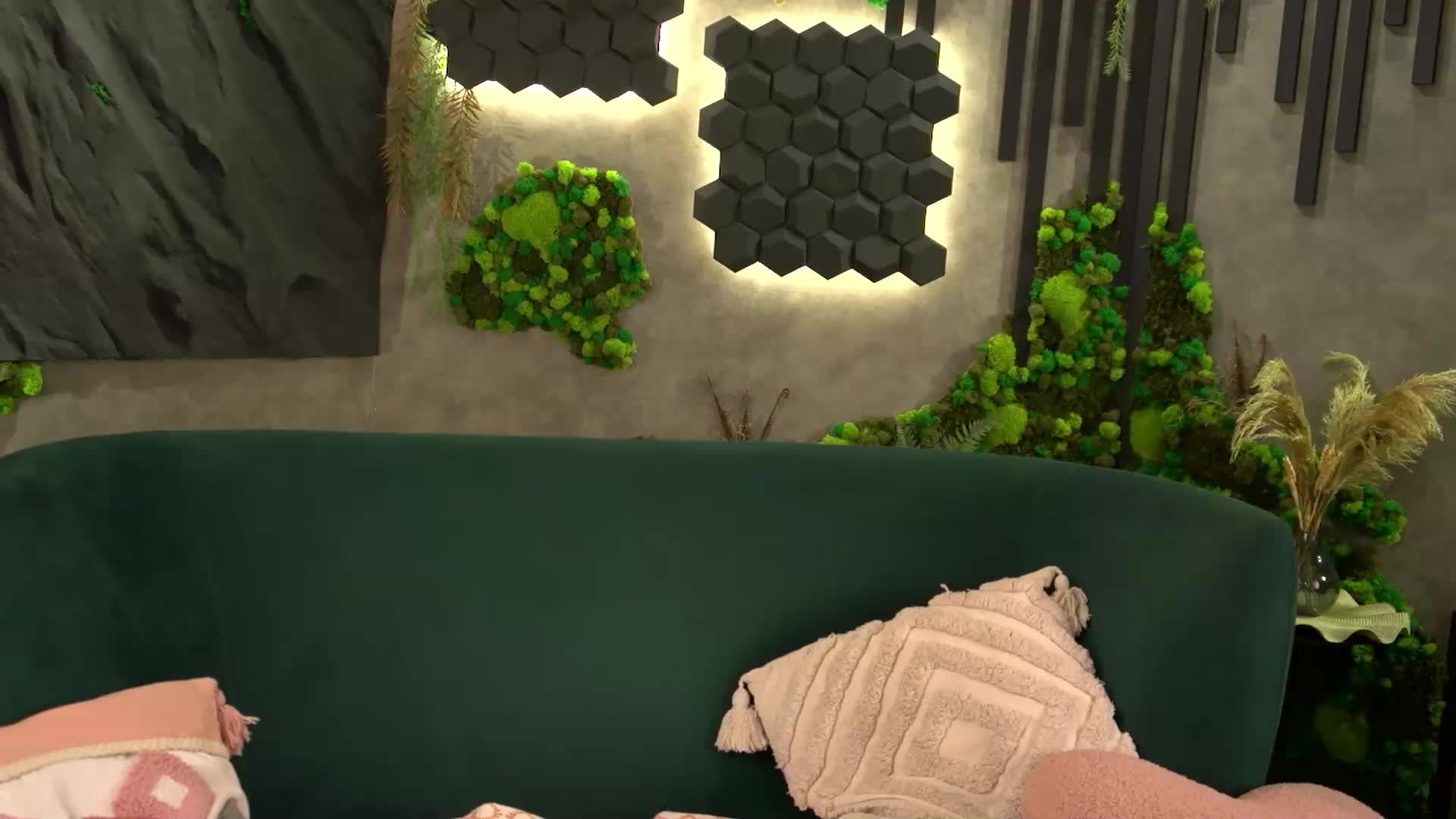 amberpaws Cam Model Chat December 29, 2025