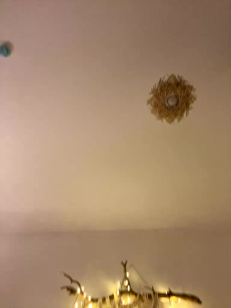 lina_wap Cam Model Chat December 29, 2025