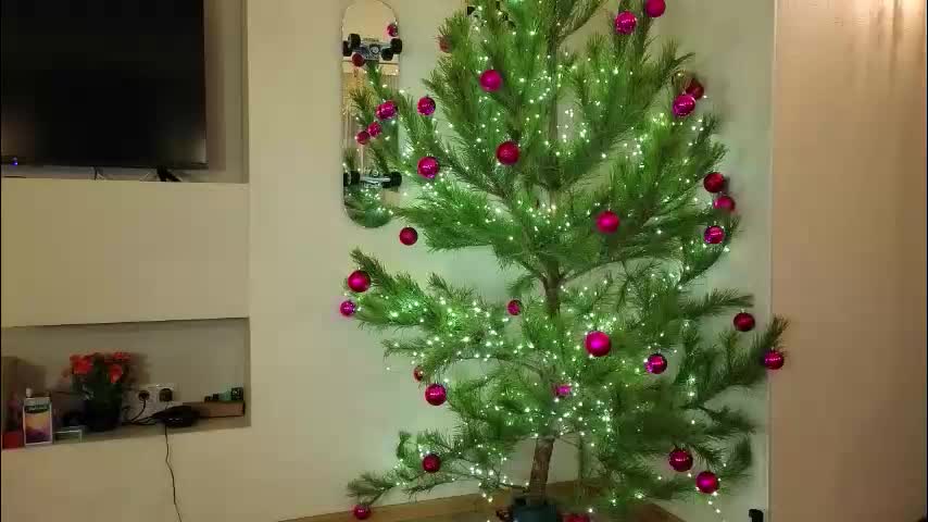 fiamoor Cam Model Chat December 30, 2025