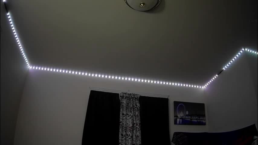 gregnice313 Cam Model Chat December 30, 2025