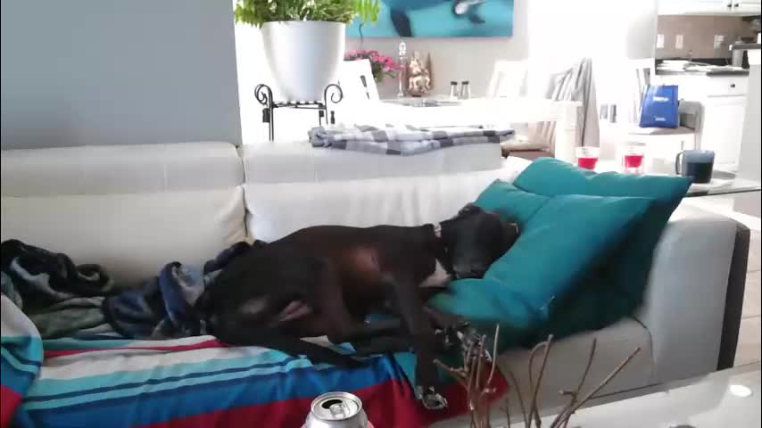 smallpenisbigtongue Cam Model Chat December 30, 2025