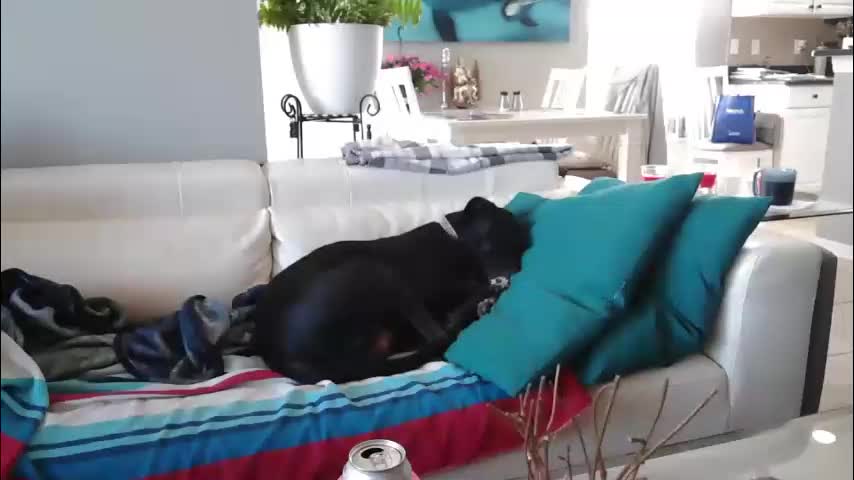 smallpenisbigtongue Cam Model Chat December 30, 2025