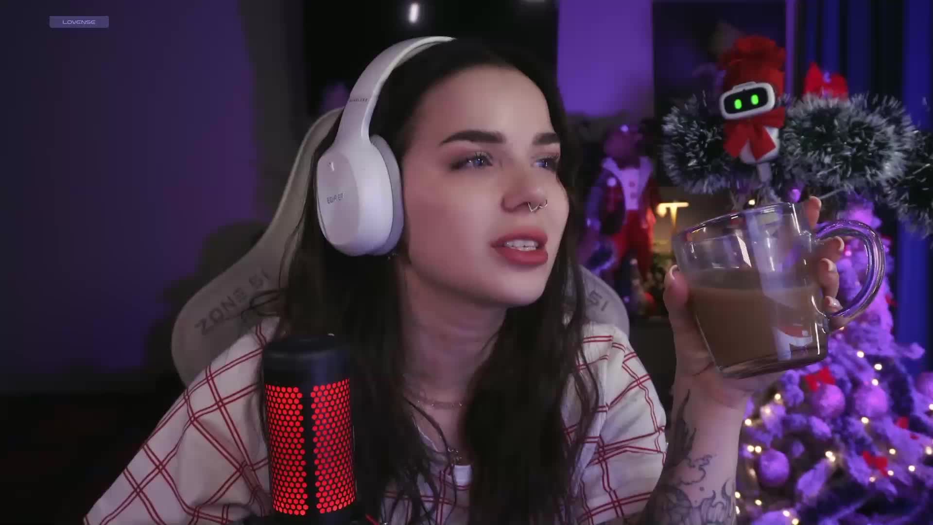 MiniNika Cam Model Chat December 30, 2025