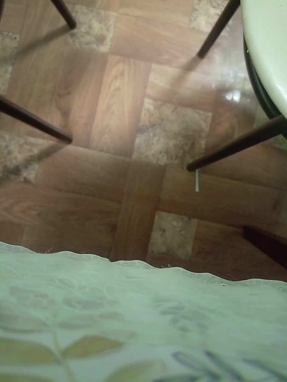 Schastlivchik10 Cam Model Chat December 31, 2025