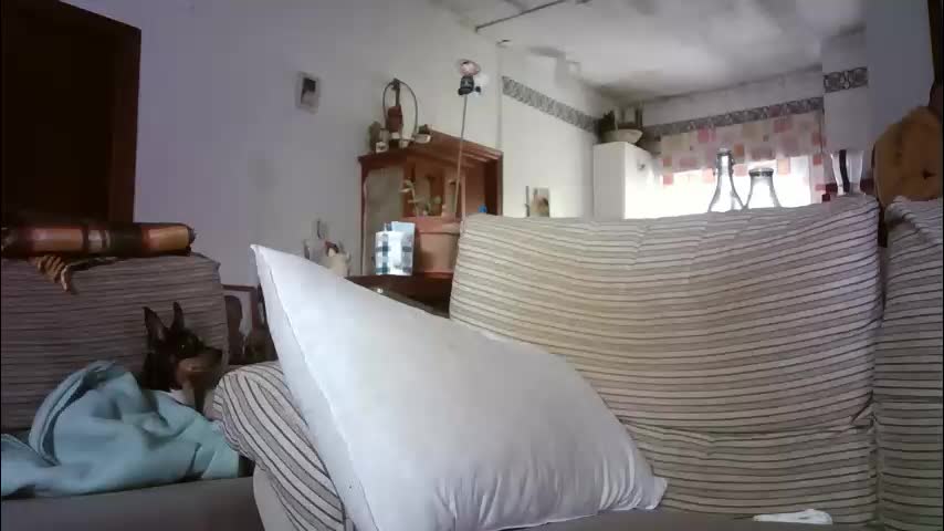 lolahueso Cam Model Chat December 31, 2025