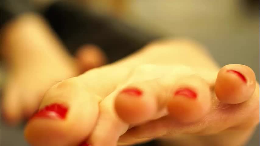 adagrand Cam Model Chat January 2, 2026